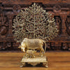 Brass Kamdhenu Cow, Nurturing the Divine, Fine Gold Finish 9.5"