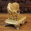 Brass Kamdhenu Cow, Nurturing the Divine, Fine Gold Finish 9.5"