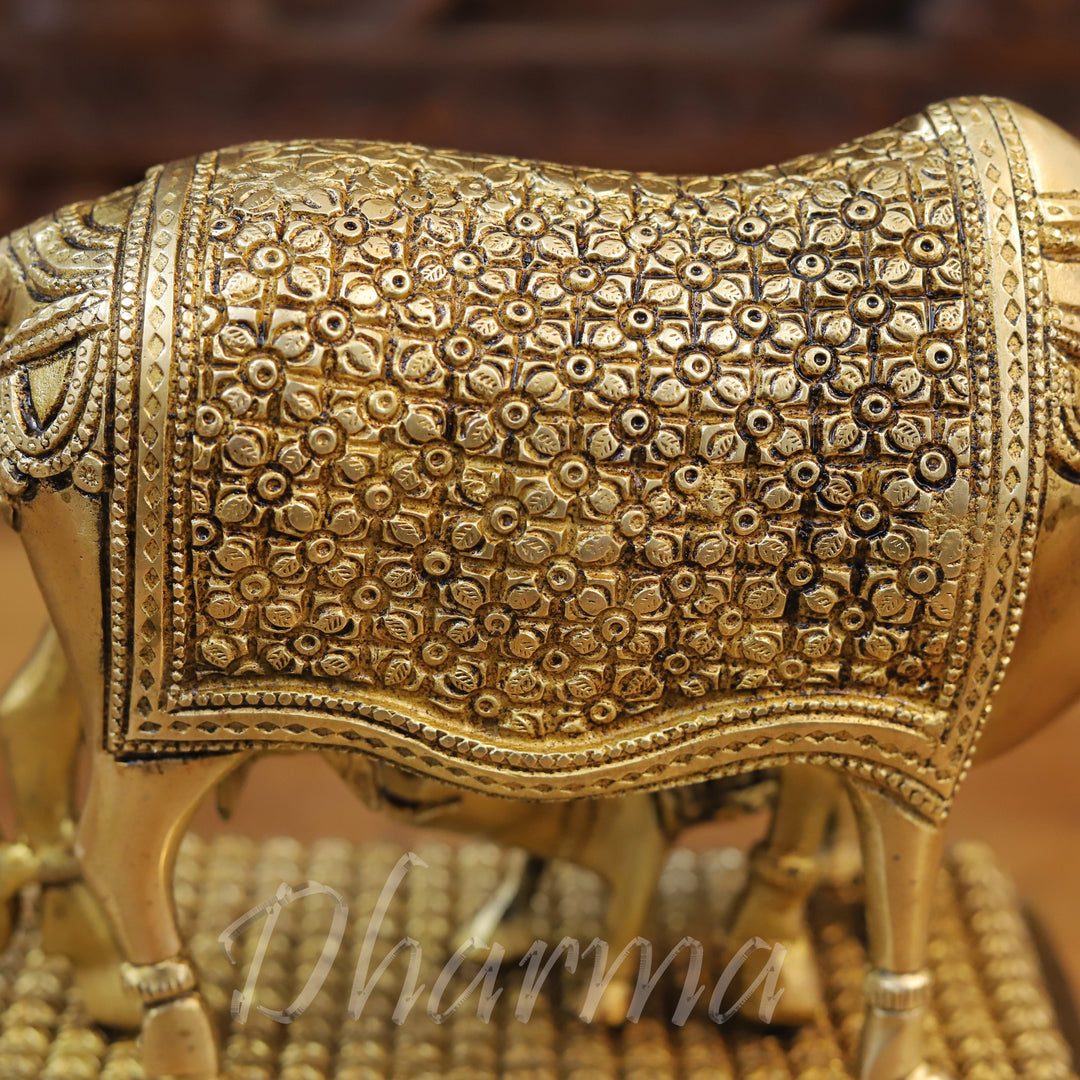 Brass Cow Feeding His Calf, Fine Golden Finish 9.5"