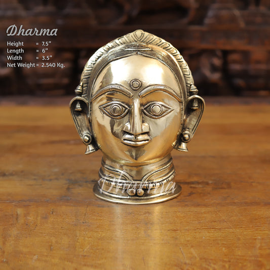 Brass parvati Head, Golden Finish, 7.5"