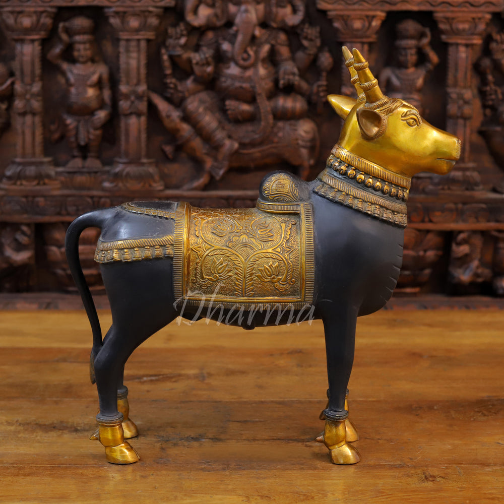 Brass Nandi Cow, Standing, Black patina and Golden Finish 16.5" side view