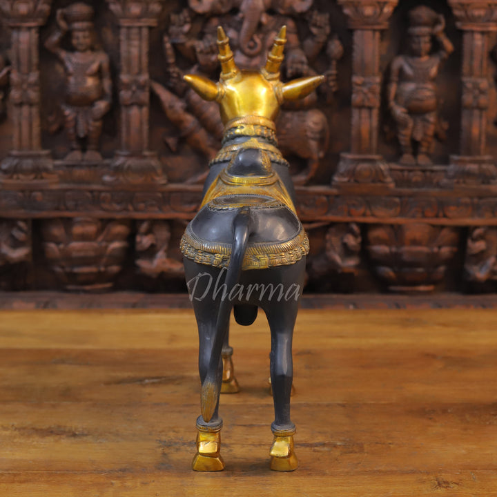 Brass Nandi Cow, Standing, Black patina and Golden Finish 16.5" back view