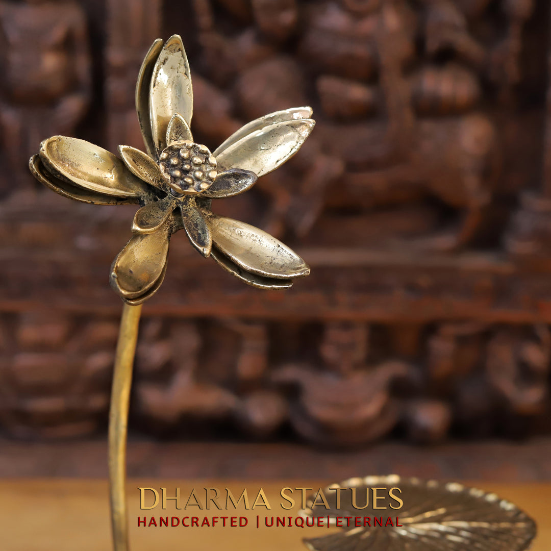 Brass Lotus Urli, Ethereal Beauty Exclusive Home decor, Golden Finish 16"