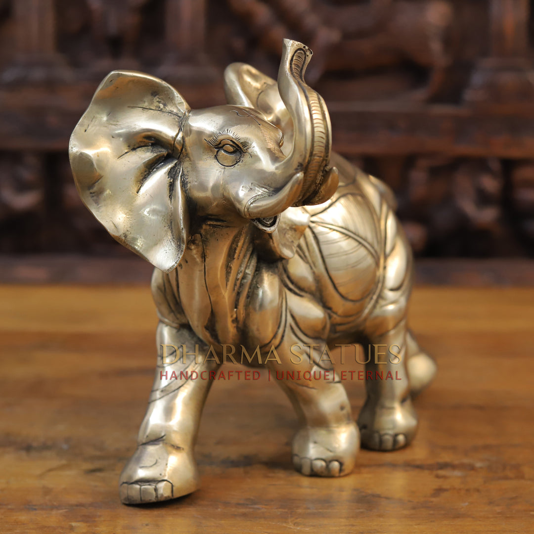 Brass Elephant Sculpture, Fine Golden Finish 10"