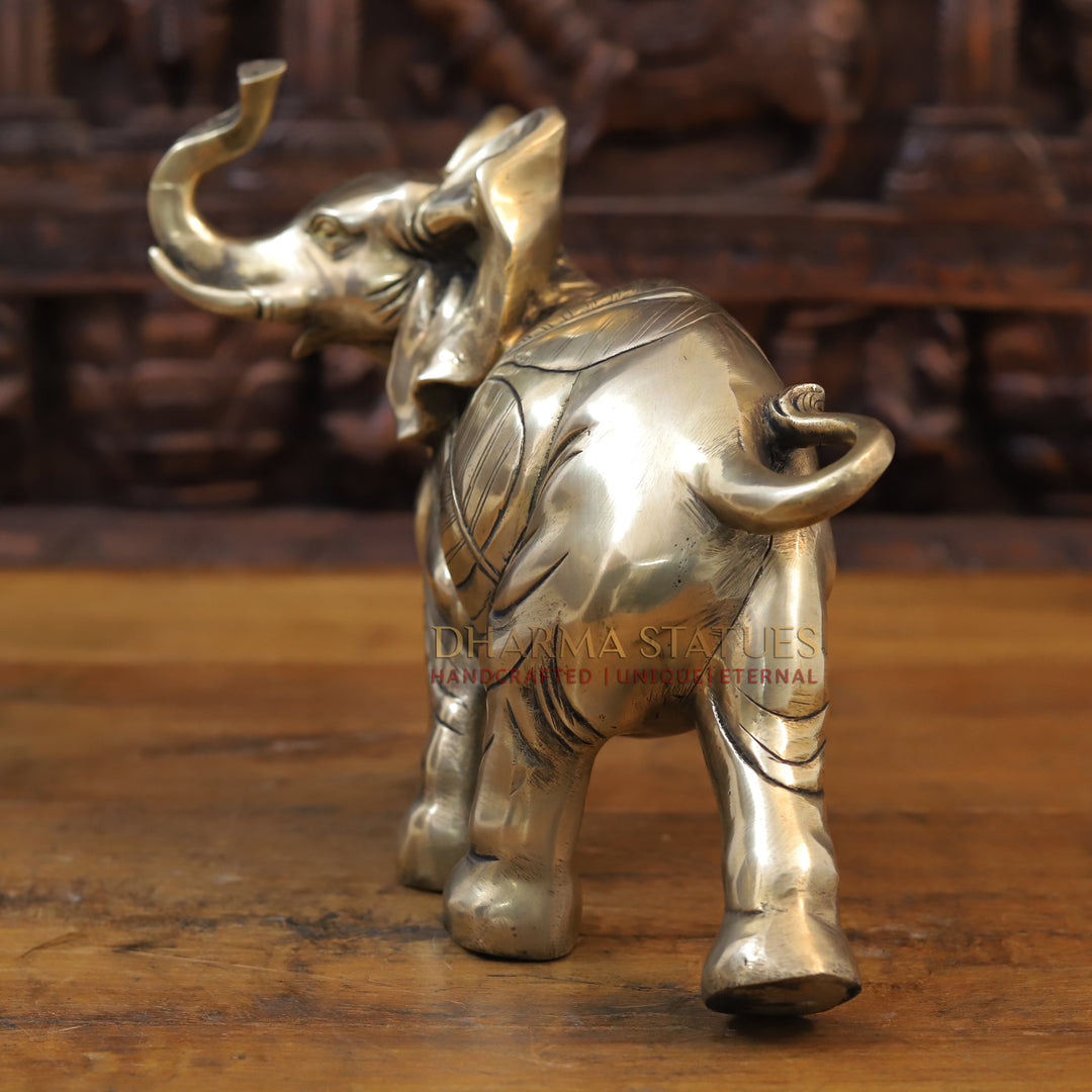 Brass Elephant Sculpture, Fine Golden Finish 10"