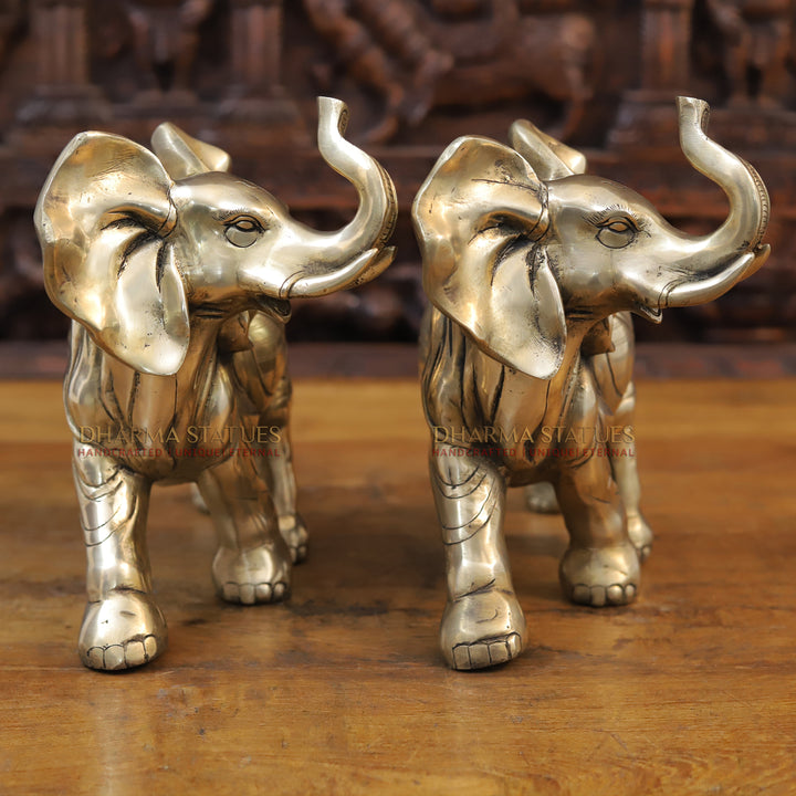 Brass Elephant Sculpture, Fine Golden Finish 10"