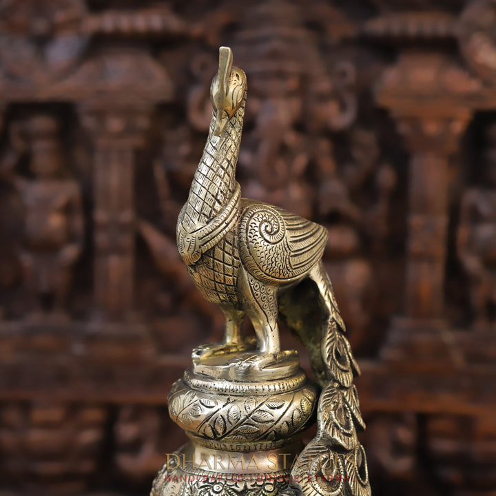 Brass Peacock Statue, Fine Golden work 19.5"