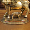 Brass Kamdhenu Cow Idol, With her Calf, Fine Golden Finish 16.5"