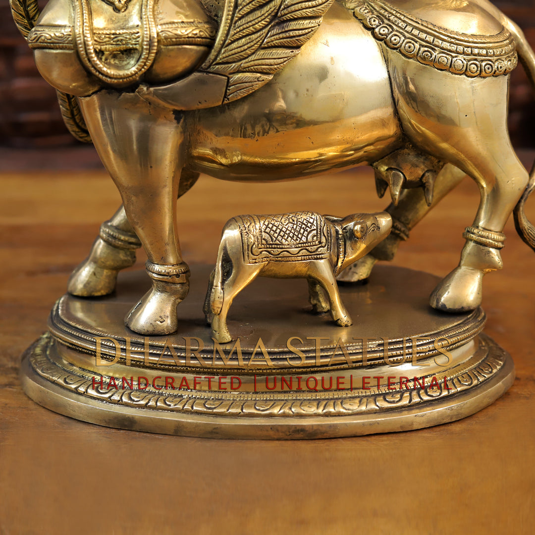 Brass Kamdhenu Cow Idol, With her Calf, Fine Golden Finish 16.5"