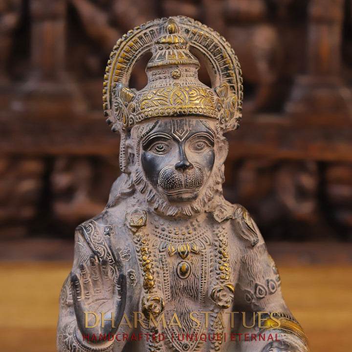 Brass Hanuman Statue, Seated with Black Patina and Radiant Gold, 12.5"