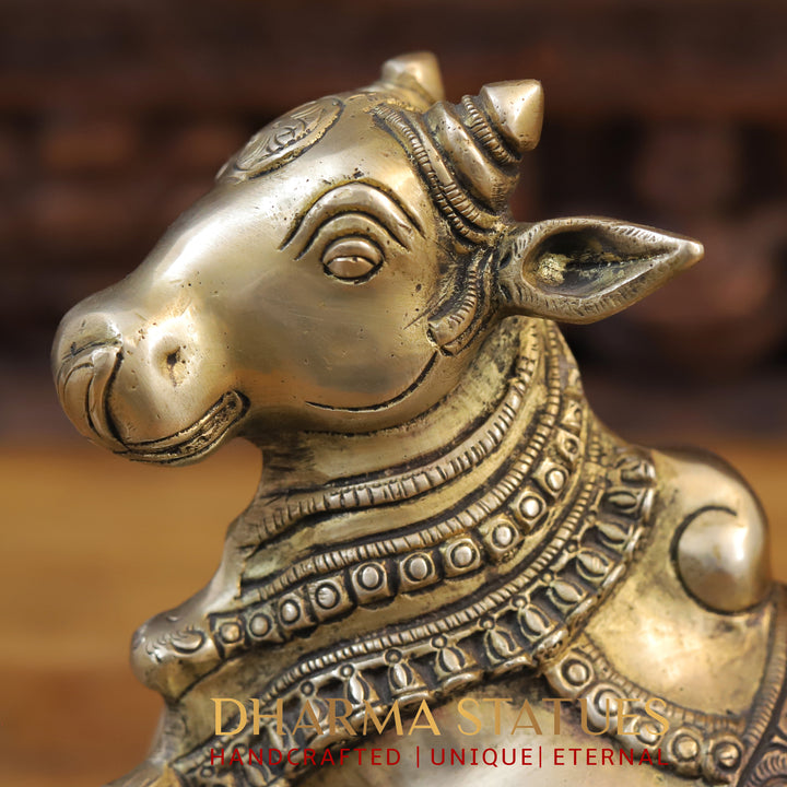 Brass Nandi Statue Seated, Mount of Mahadeva, Golden Finish with Copper hues, 10.5"