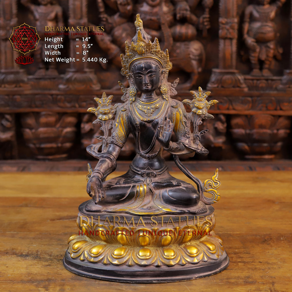 Brass Tara Idol, Seated on a Lotus, Black Patina & Golden Finish 14"