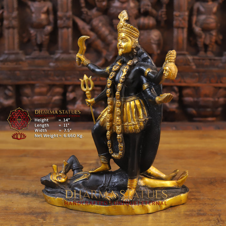 Brass Kali Idol, Standing on Lord Shiva's Chest, Black patina & Golden Finish 14"