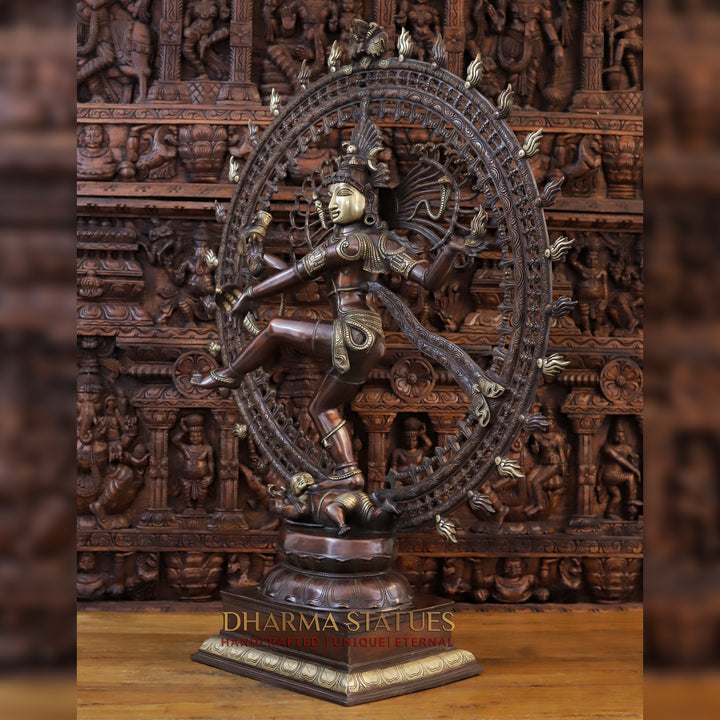 Brass Natraj Idol, Masterpiece of Divine Dance and Cosmic Energy, Copper with Golden Finish,  47.5"