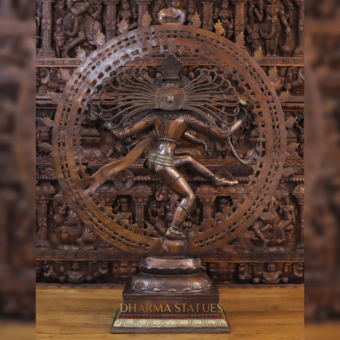 Brass Natraj Idol, Masterpiece of Divine Dance and Cosmic Energy, Copper with Golden Finish,  47.5"