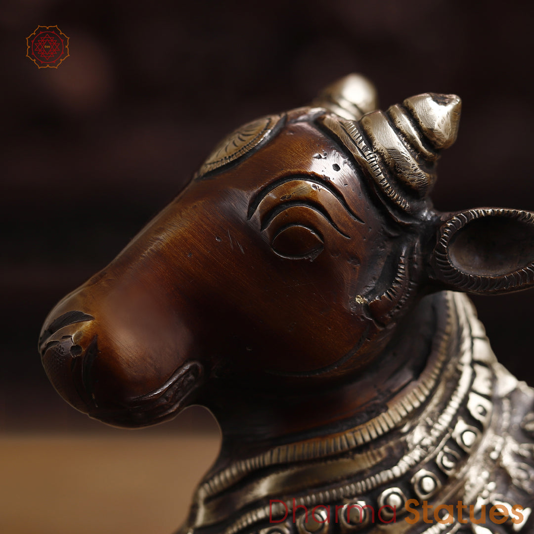 Brass Nandi Statue Seated, Guardian of Shiva's Realm, Copper Finish 10"