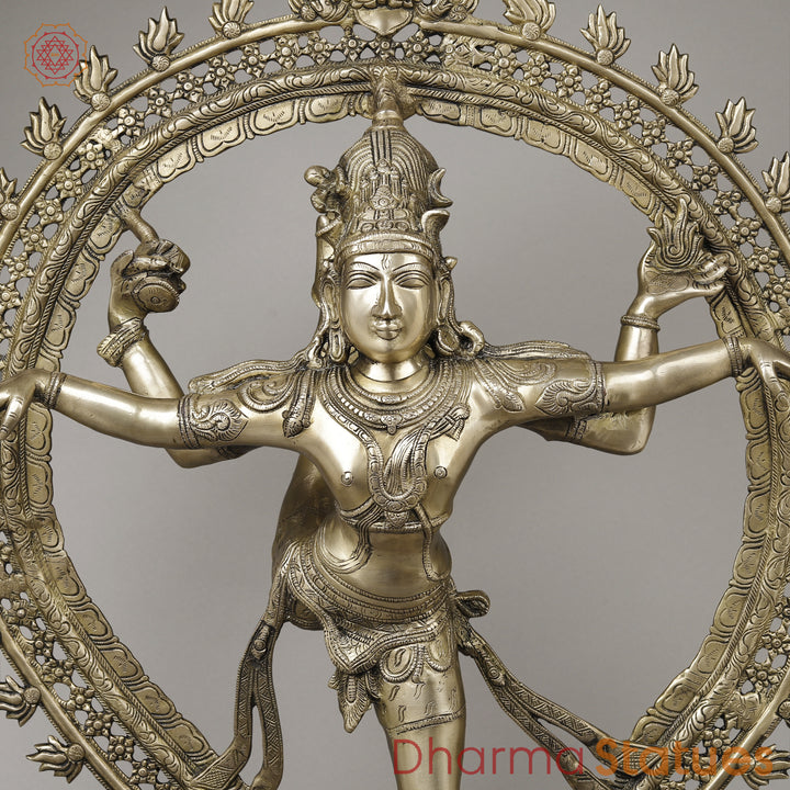 Brass Nataraja in Ananda-Tandava with Frame, Fine Golden Finish, 35"