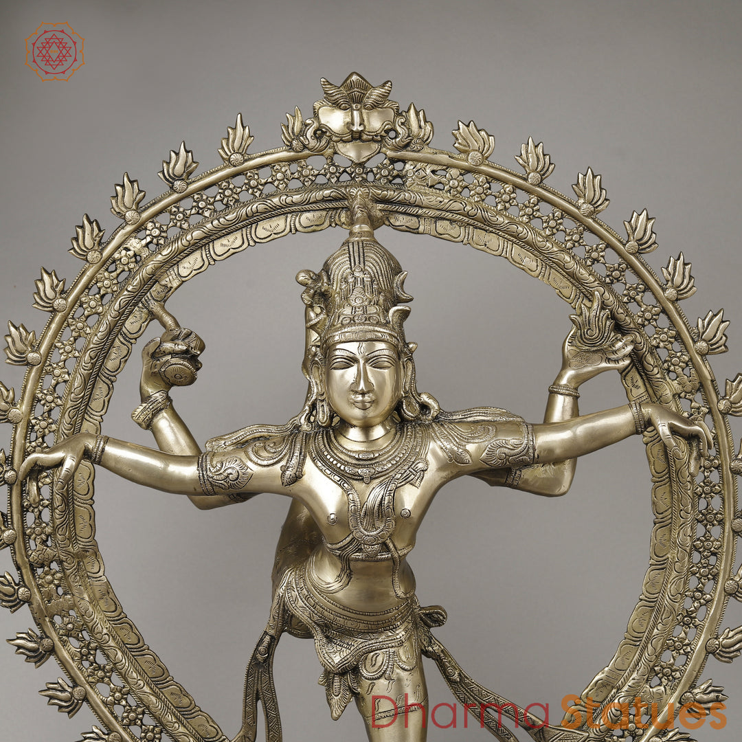 Brass Nataraja in Ananda-Tandava with Frame, Fine Golden Finish, 35"