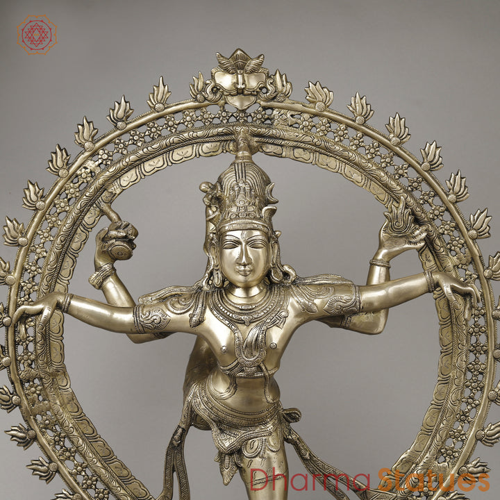 Brass Nataraja in Ananda-Tandava with Frame, Fine Golden Finish, 35"