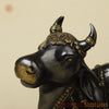 Brass Nandi Seated With Fine Carving, Black & Golden Finish, 15”