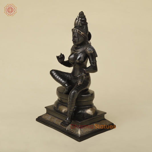 Brass Parvati in Lalita Roop, Black Patina with Golden Finish, 12"