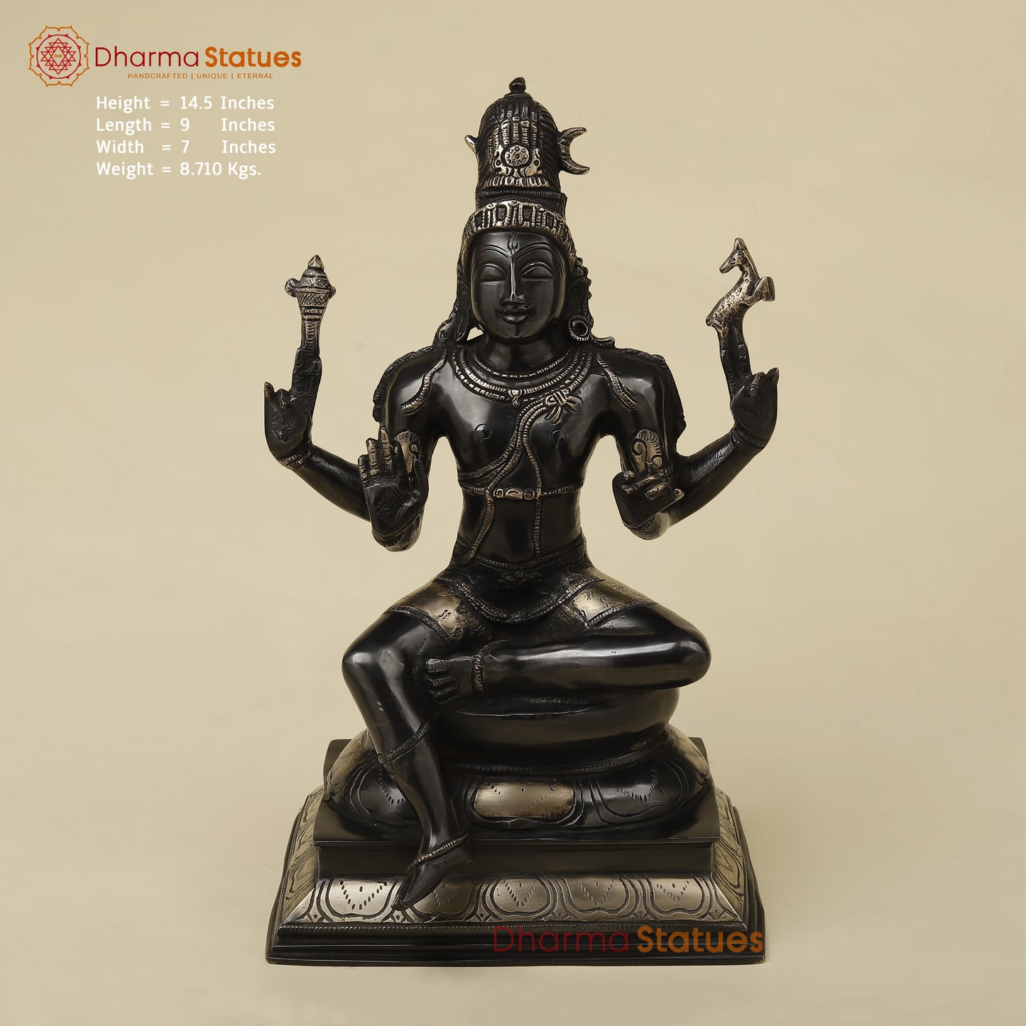 Brass Shiva with Blessing Posture, Black Patina with Golden Finish, 14.5"