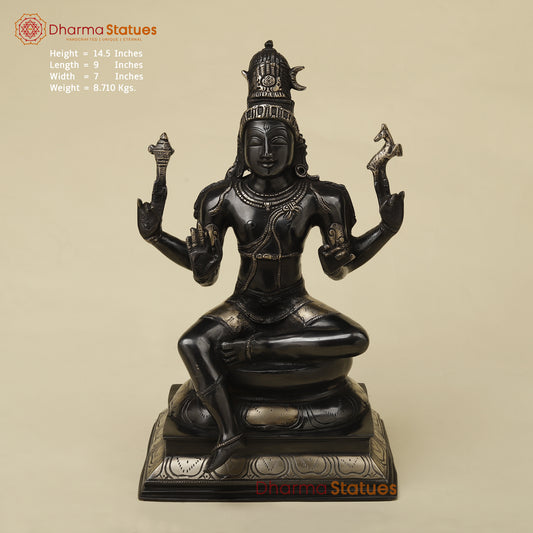 Brass Shiva with Blessing Posture, Black Patina with Golden Finish, 14.5"