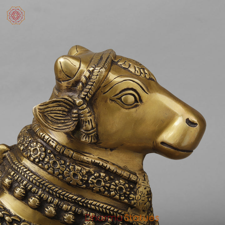 Brass Nandi on pedestal, Antique Gold Finish, 13"