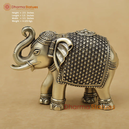 Brass Elephant Fine, 2.5"