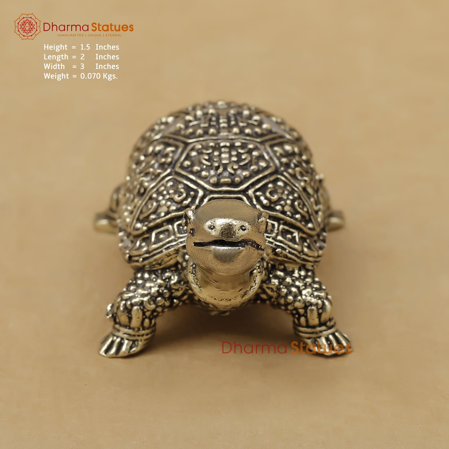 Brass Tortoise Fine, 1.5"