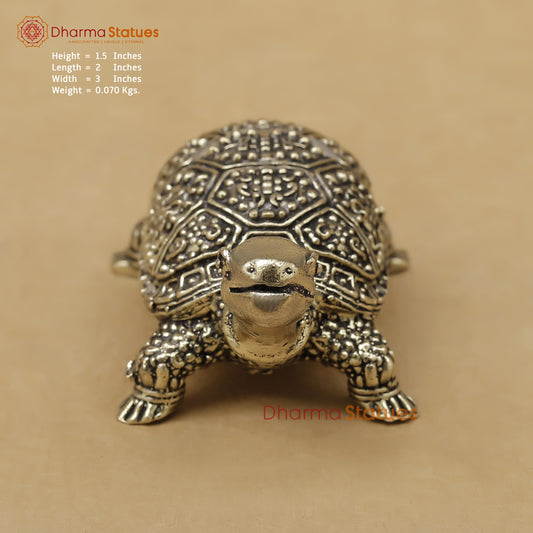 Brass Tortoise Fine, 1.5"