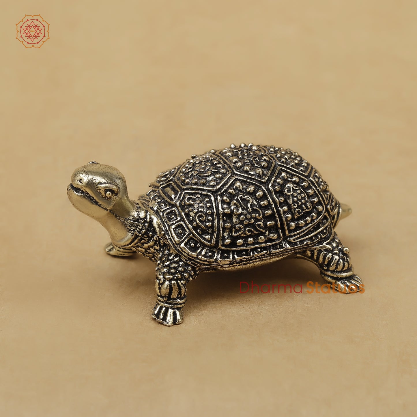 Brass Tortoise Fine, 1.5"