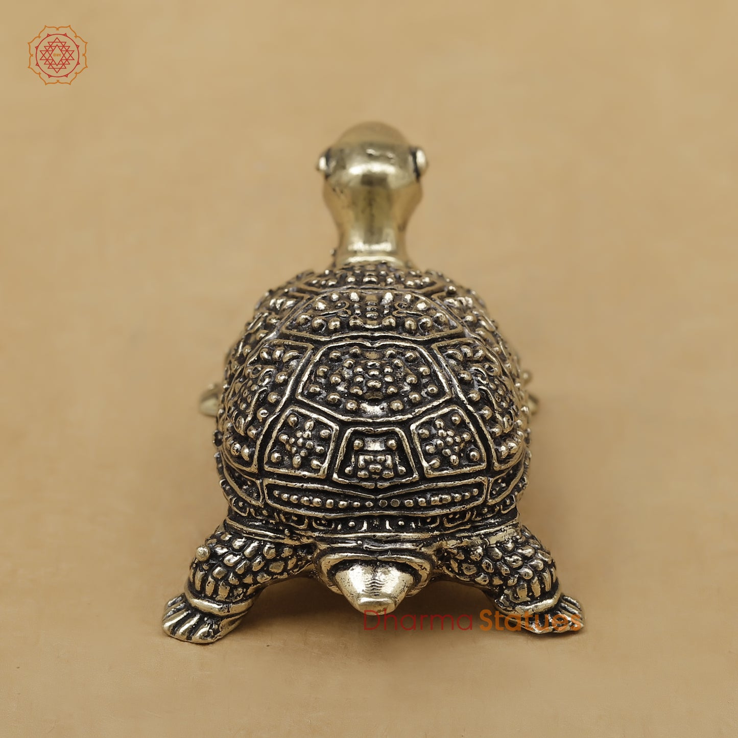 Brass Tortoise Fine, 1.5"