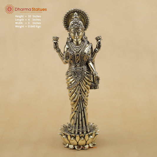 Brass Lakshmi Fine, 10"