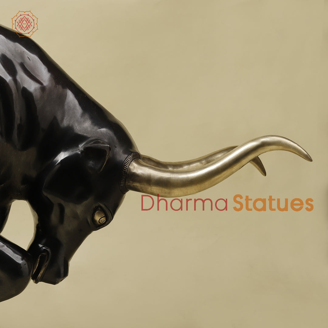 Brass Bull, Royal Black Patina with Golden Finish, 23"