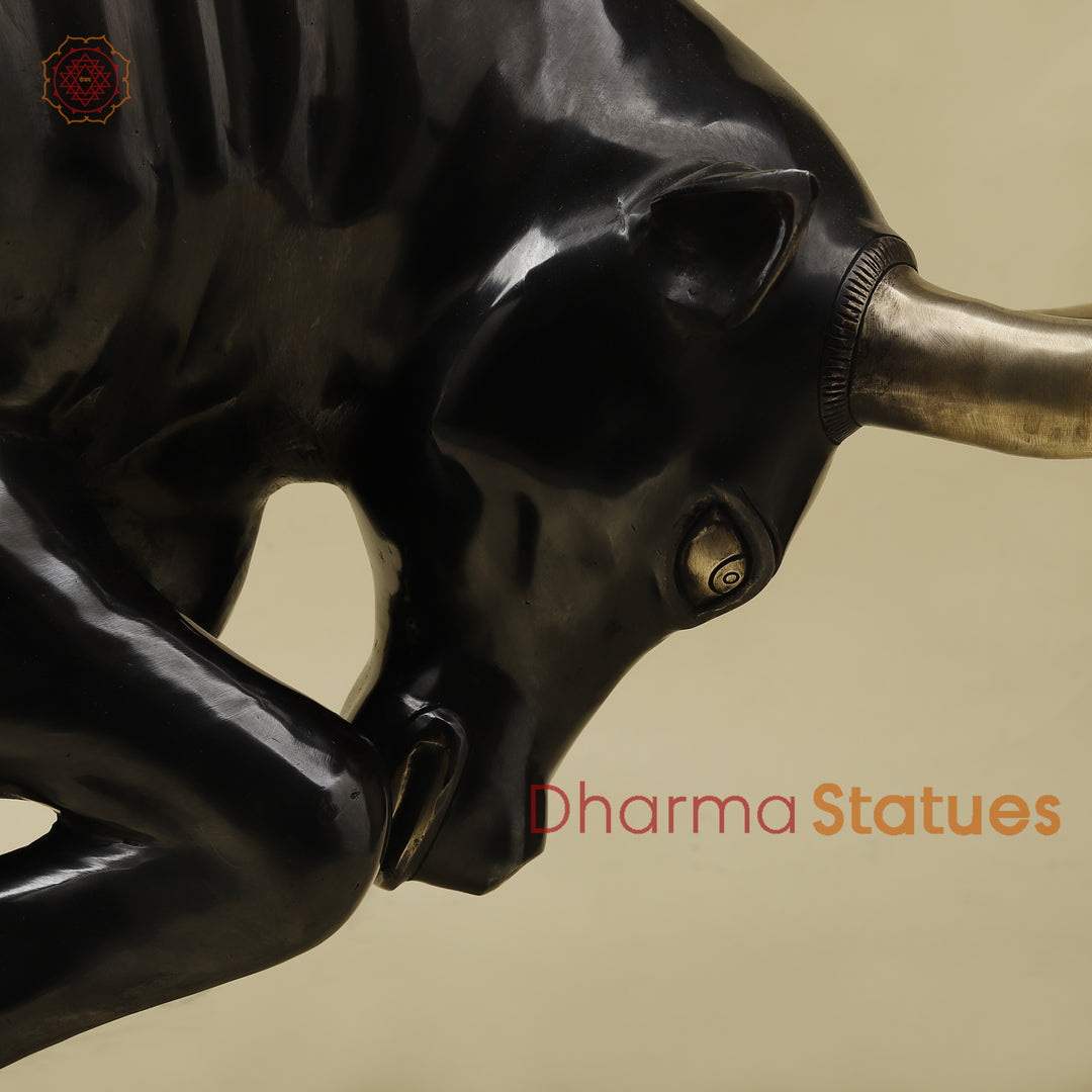 Brass Bull, Royal Black Patina with Golden Finish, 23"
