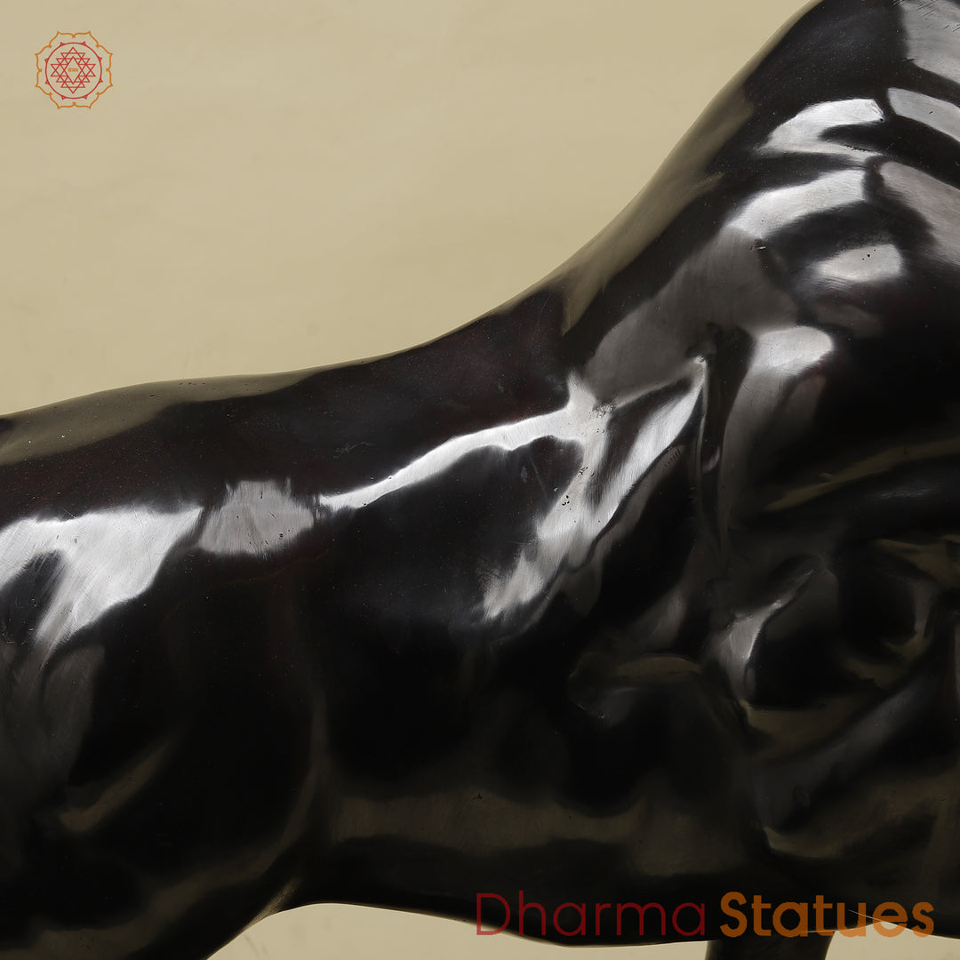 Brass Bull, Royal Black Patina with Golden Finish, 23"