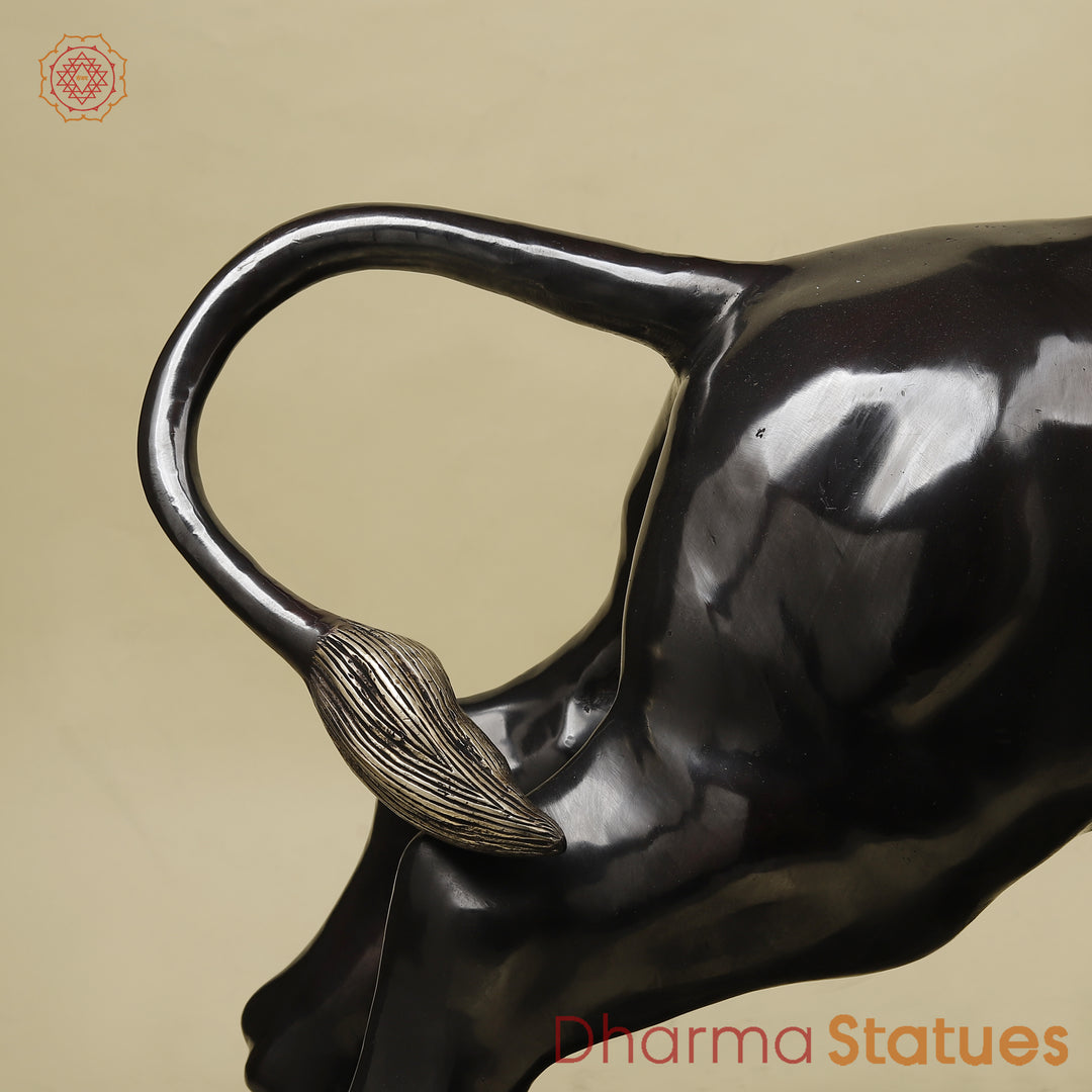 Brass Bull, Royal Black Patina with Golden Finish, 23"
