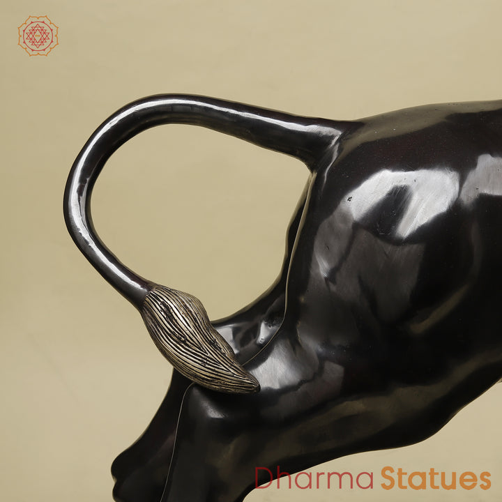 Brass Bull, Royal Black Patina with Golden Finish, 23"