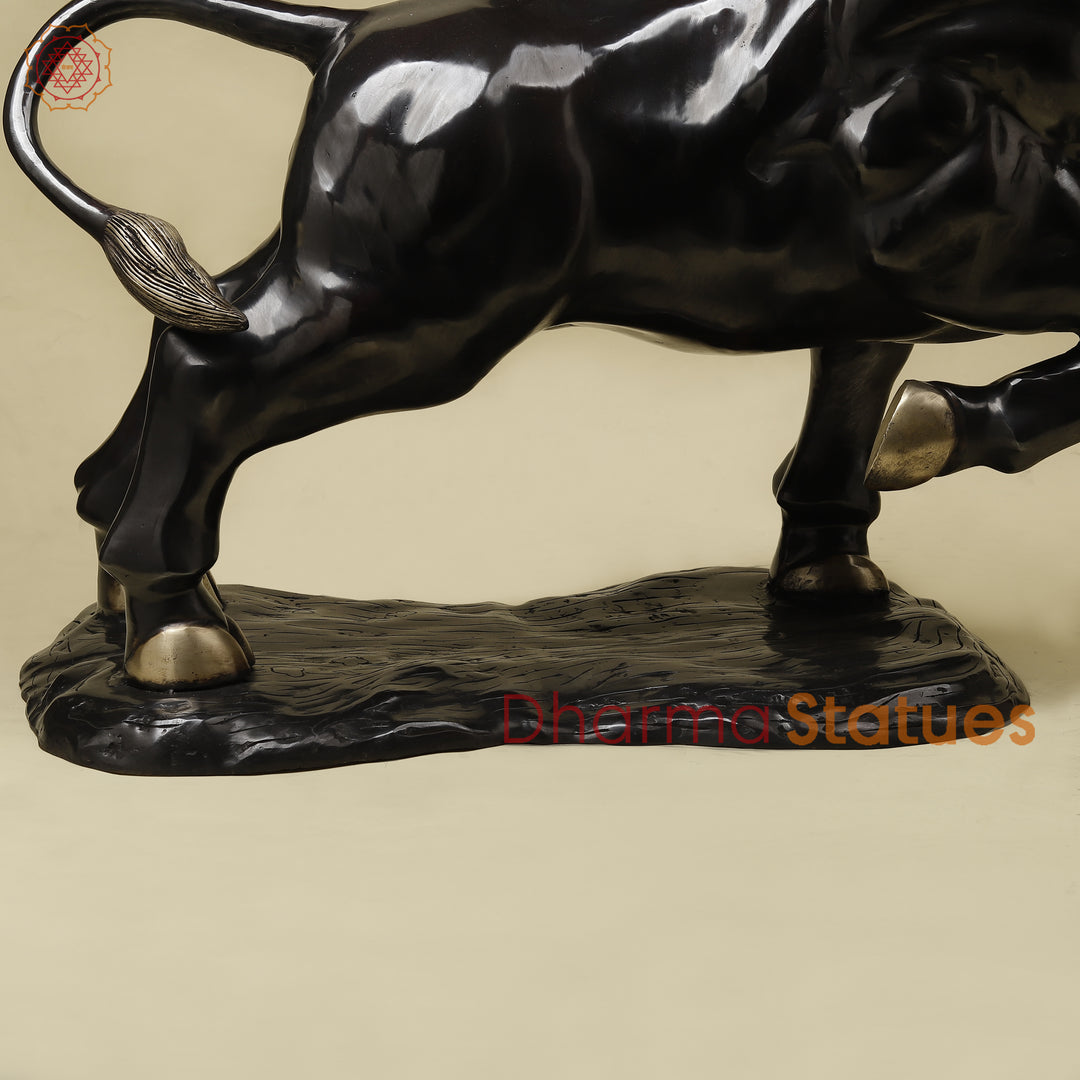 Brass Bull, Royal Black Patina with Golden Finish, 23"