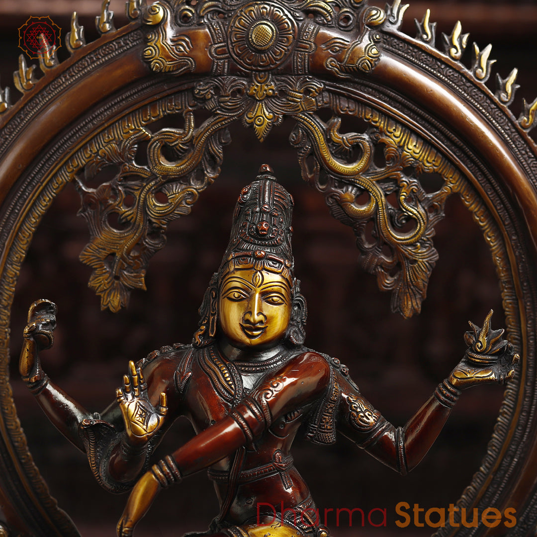 Natraj Brass Statue, Dancing Lord Shiva Idol Bronze & Gold Finish 26"