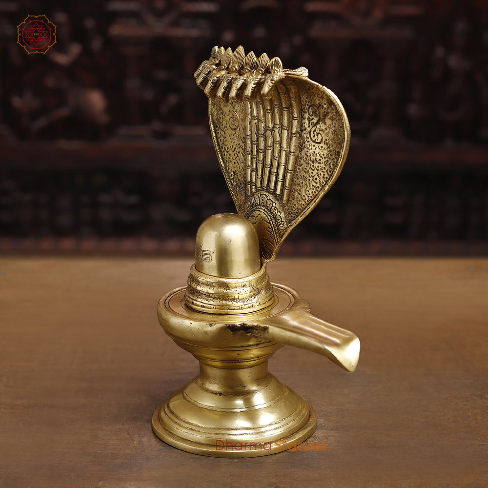 Brass Shiva Lingam Statue, with seven-Headed Nag Golden Fine Finish 13" side view