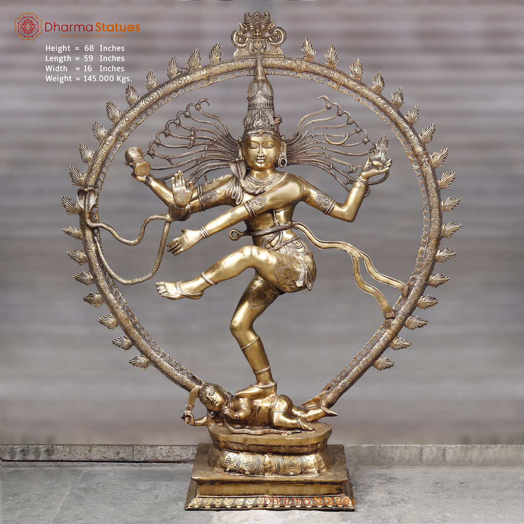 Brass Natraj Idol, Dancing Lord Shiva Statue, Golden Fine Finish - 68" front view