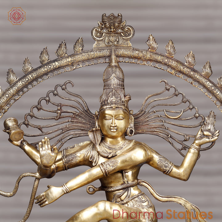 Brass Natraj Idol, Lord of the Wheel of Art, Golden Fine Finish 68"