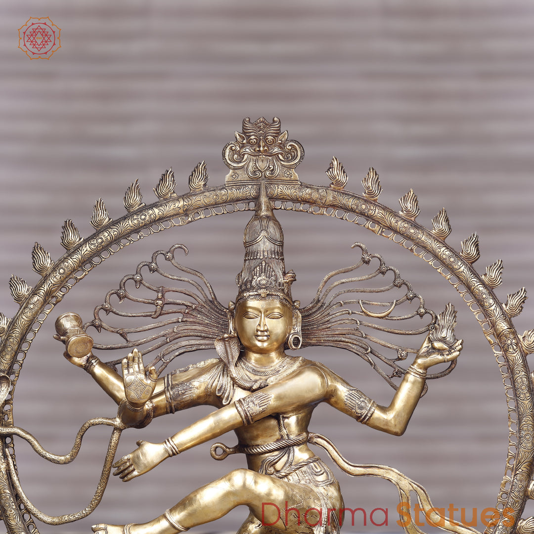 Brass Natraj Idol, Lord of the Wheel of Art, Golden Fine Finish 68"