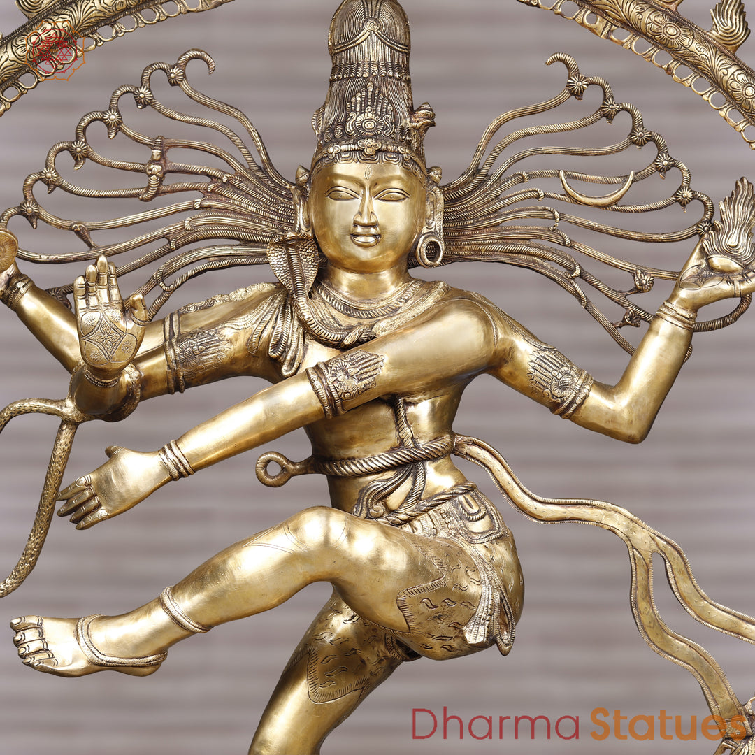 Brass Natraj Idol, Lord of the Wheel of Art, Golden Fine Finish 68"