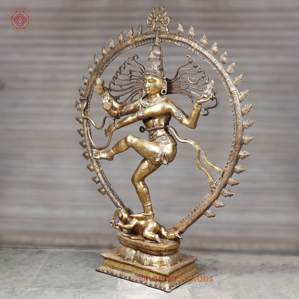 Brass Natraj Idol, Dancing Lord Shiva Statue, Golden Fine Finish - 68" side view