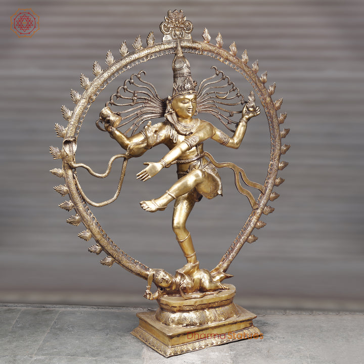 Brass Natraj Idol, Dancing Lord Shiva Statue, Golden Fine Finish - 68" side view