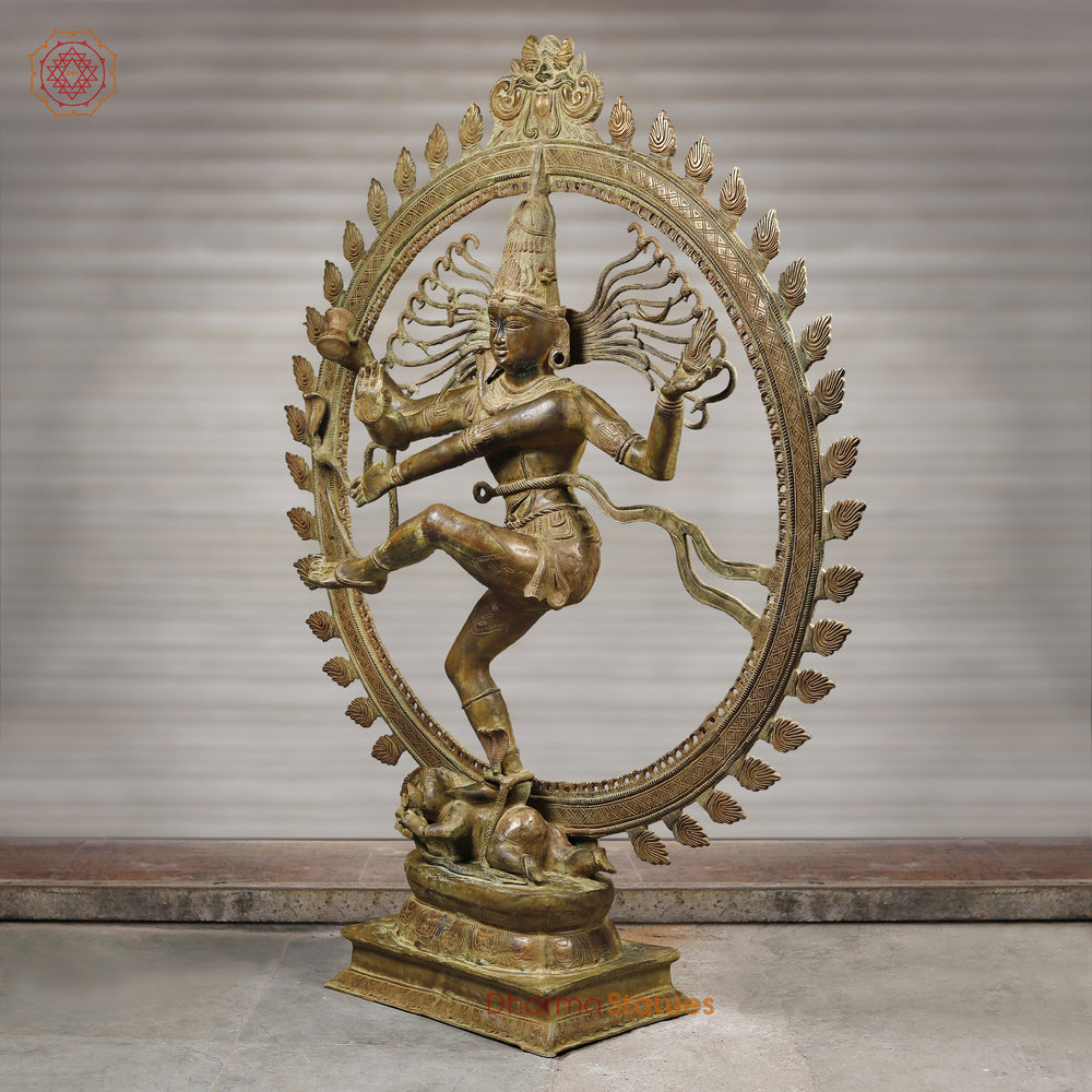 Brass Natraj Idol, Dancing Shiva Statue, Green Patina Antique 72" side view