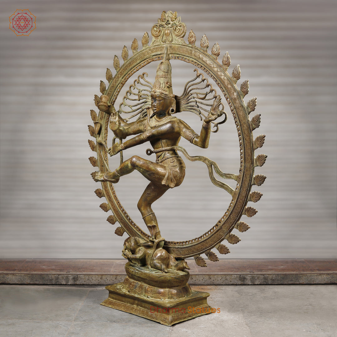 Brass Natraj Idol, Dancing Shiva Statue, Green Patina Antique 72" side view